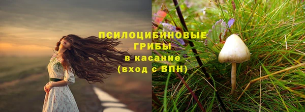 гидра Бугульма