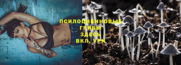 мет Бородино
