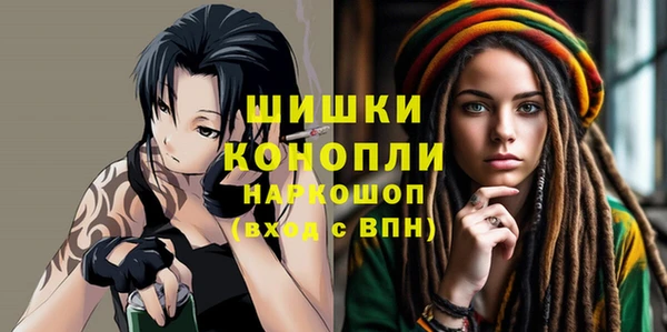 мет Бородино