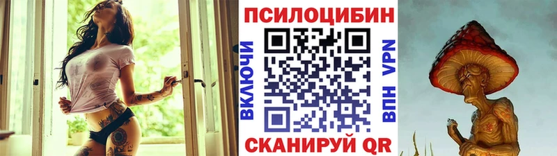 Галлюциногенные грибы Psilocybe  Ростов 